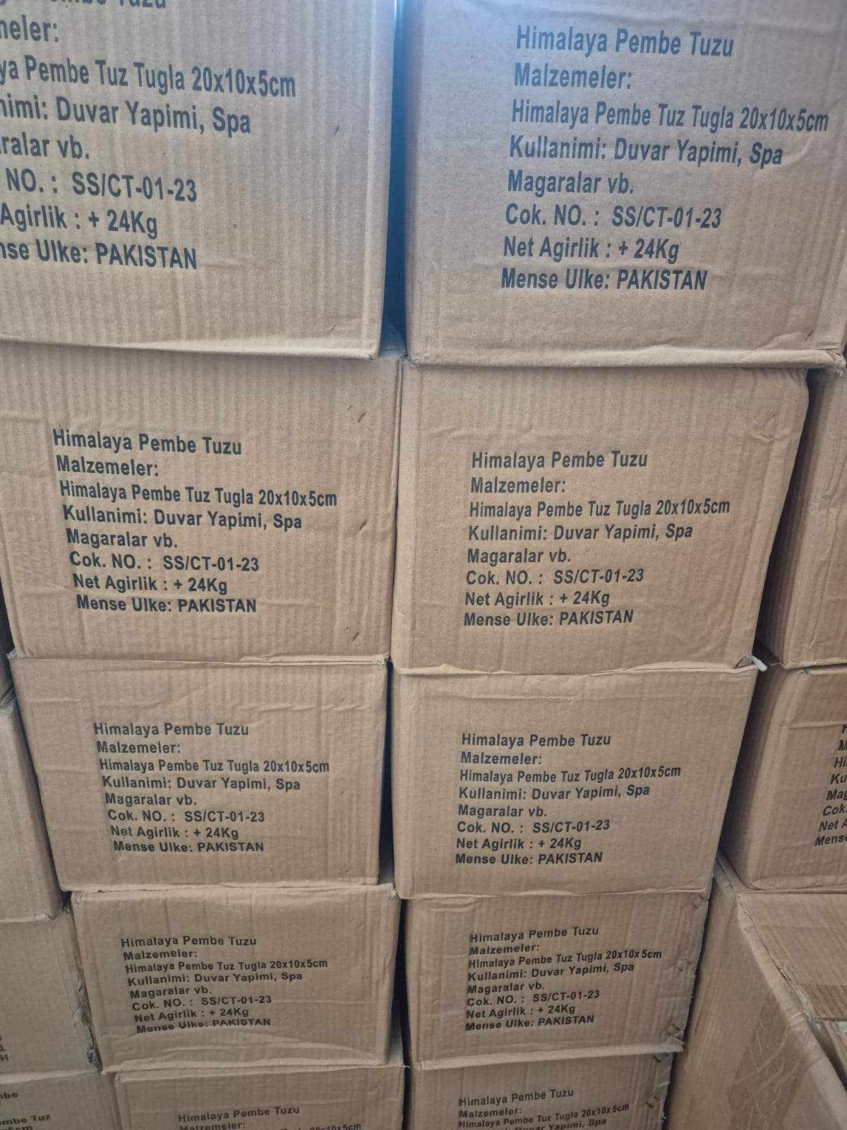Himalaya Tuz Tuğlası 20×10×5 cm